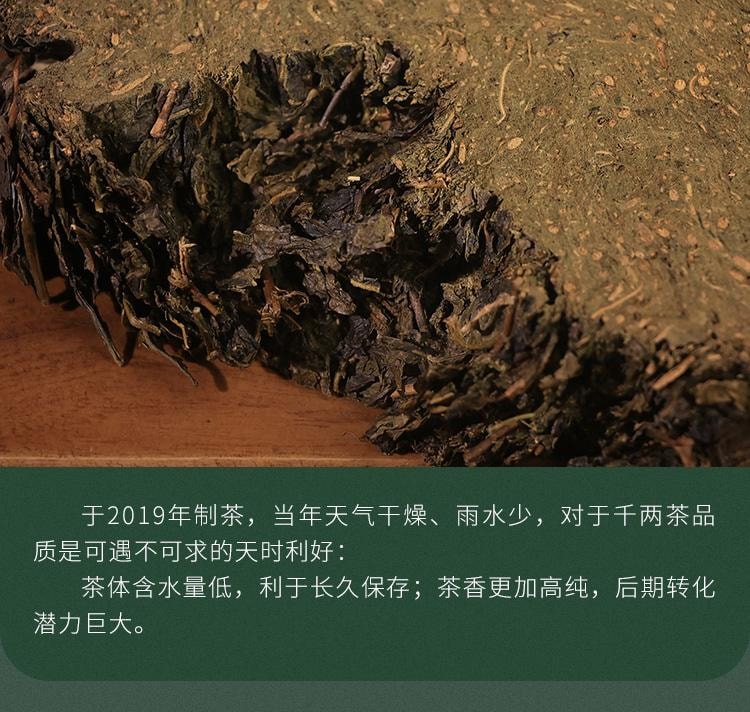 【美國現貨秒發】小師姐評茶 千兩茶餅高馬蒼卷 2019年安化黑茶茶葉 皇家貢茶 680克