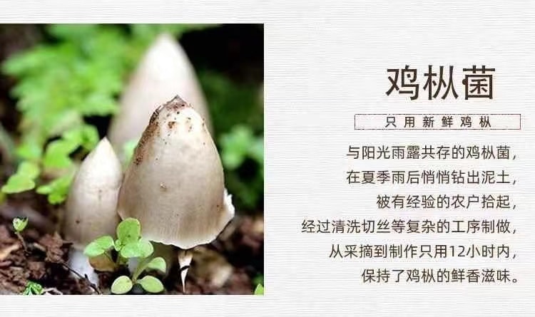 中國 紅土園 雲南山珍 雞樅菌 200克 下餐 菌菇零食 來自雲南大山的饋贈 植物素肉 配方乾淨零添加