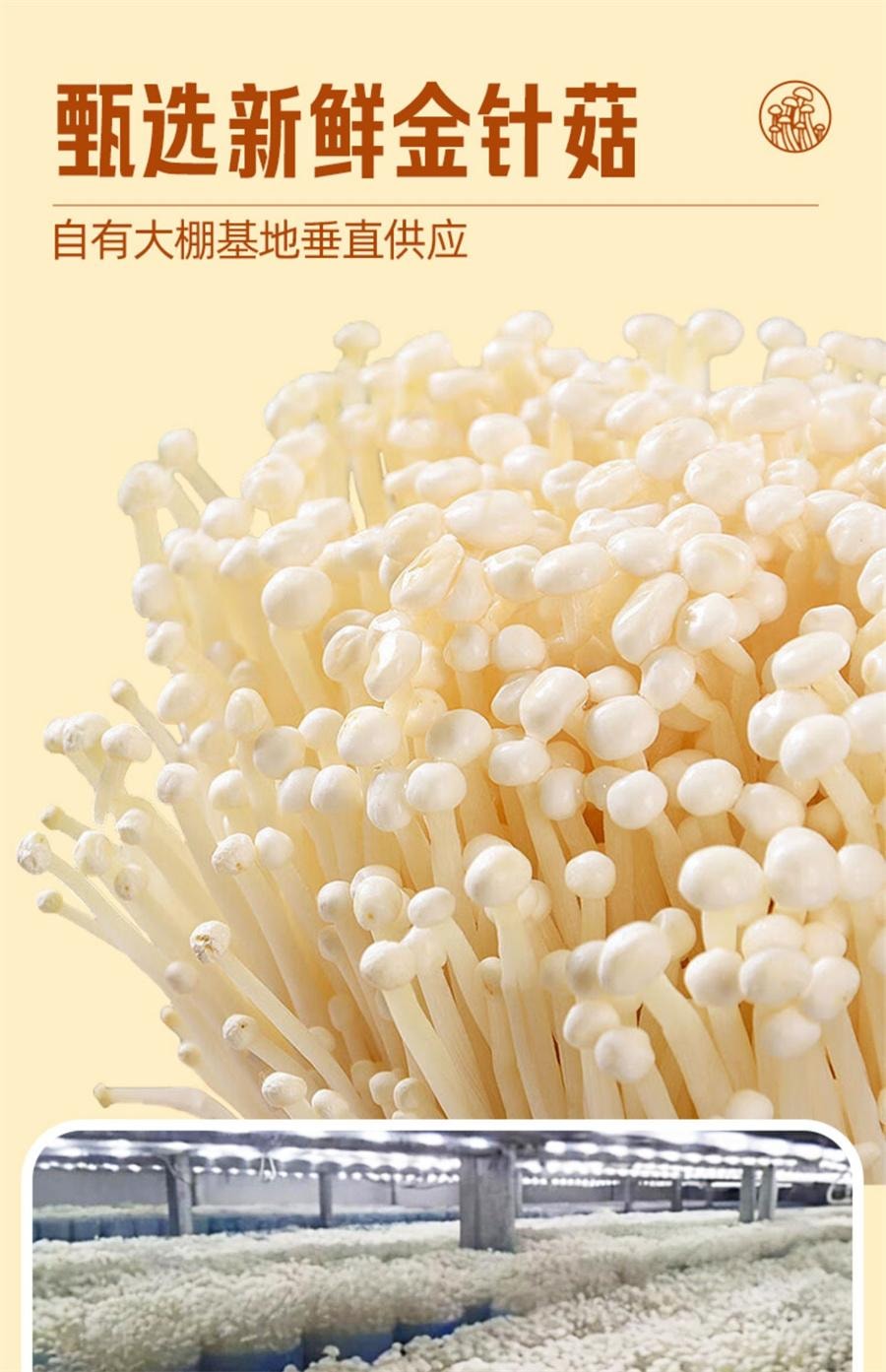 【中國直郵】 開口爽 金針菇 開袋即食小零食大洲紅油散裝小包裝解饞 香辣味8g*10包