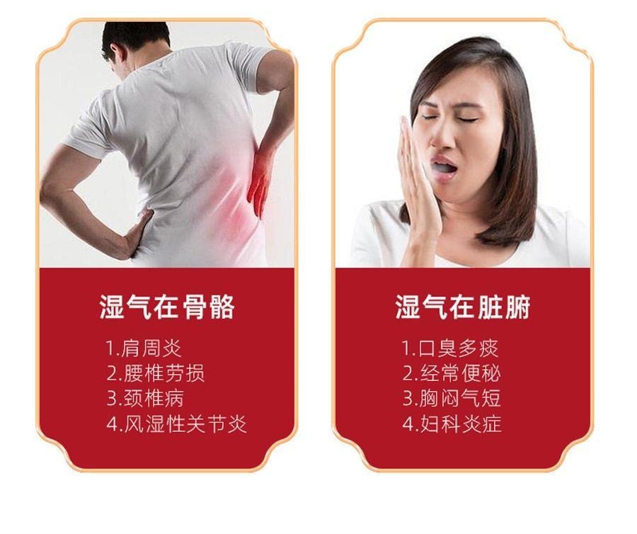 【中国直邮】 向前 参苓白术散丸 茯苓祛湿颗粒 健脾胃 调理脾胃虚弱 6g*10袋 x 1盒