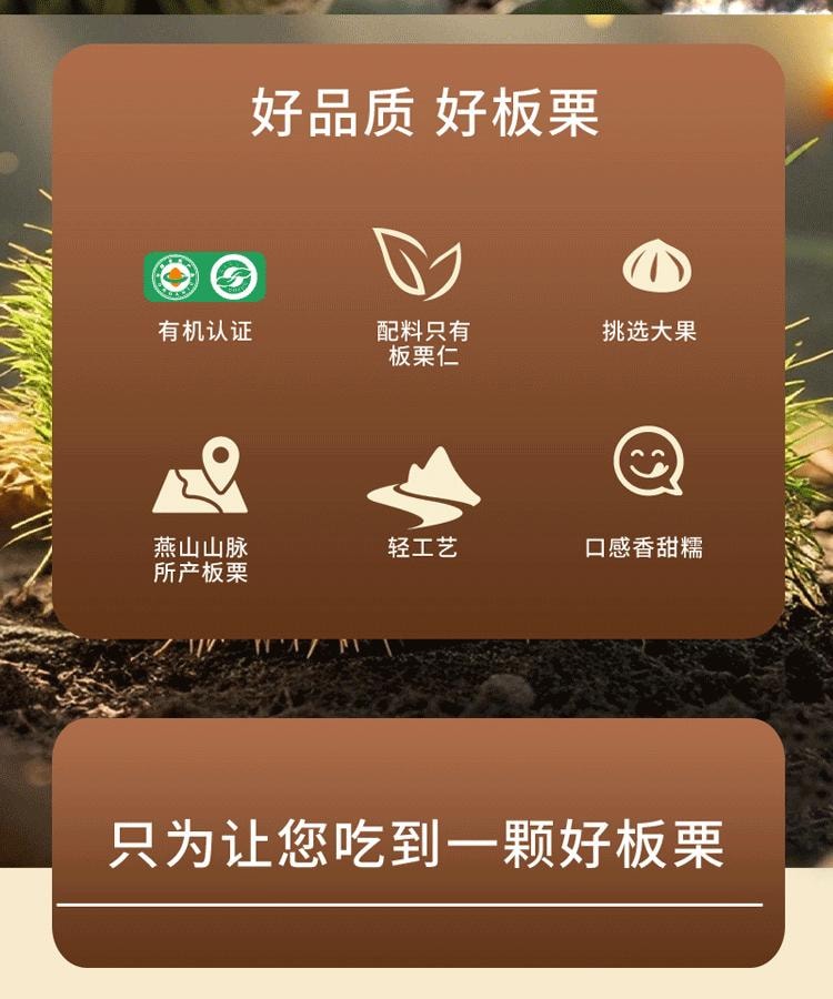 Organic chestnut kernels  60g