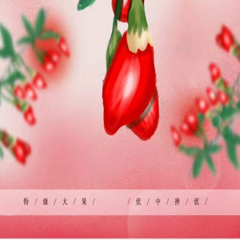 【中國直郵】 新邊界 特級枸杞紅枸杞不熏硫免洗紅枸杞子 泡酒可乾吃養生滋補枸杞茶煲湯煮粥送禮長輩父母家長年貨400g