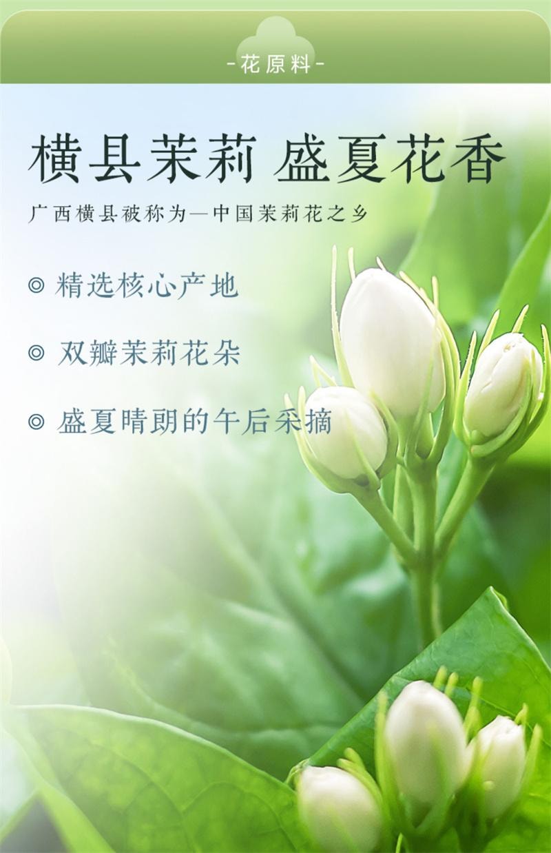【中国直邮】 狮峰茶叶 茉莉花茶 2025新茶浓香型茉莉飘雪冷泡绿茶叶 100g