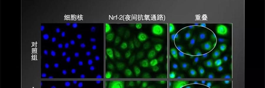 SKINCEUTICALS修麗可 RBE夜間精華 熬夜抗氧瓶 修護提亮 細緻緊緻 30ml