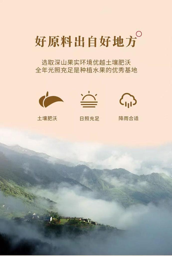 【中国直邮】 泉利堂 陈皮梅条 蜜饯果脯 228g*1罐