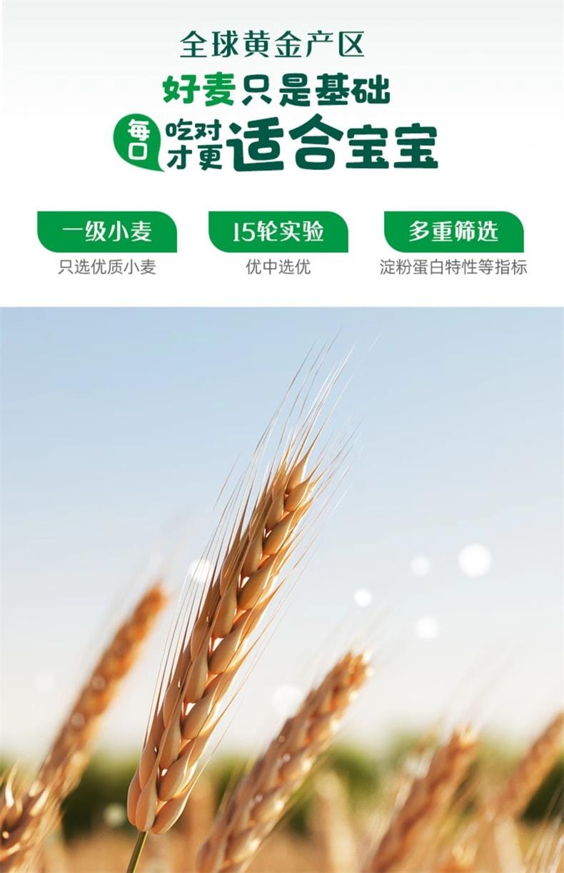 【中国直邮】 英氏 加蛋白卡通片片面 趣味造型面儿童意面宝宝面条 200g(25g*8袋)