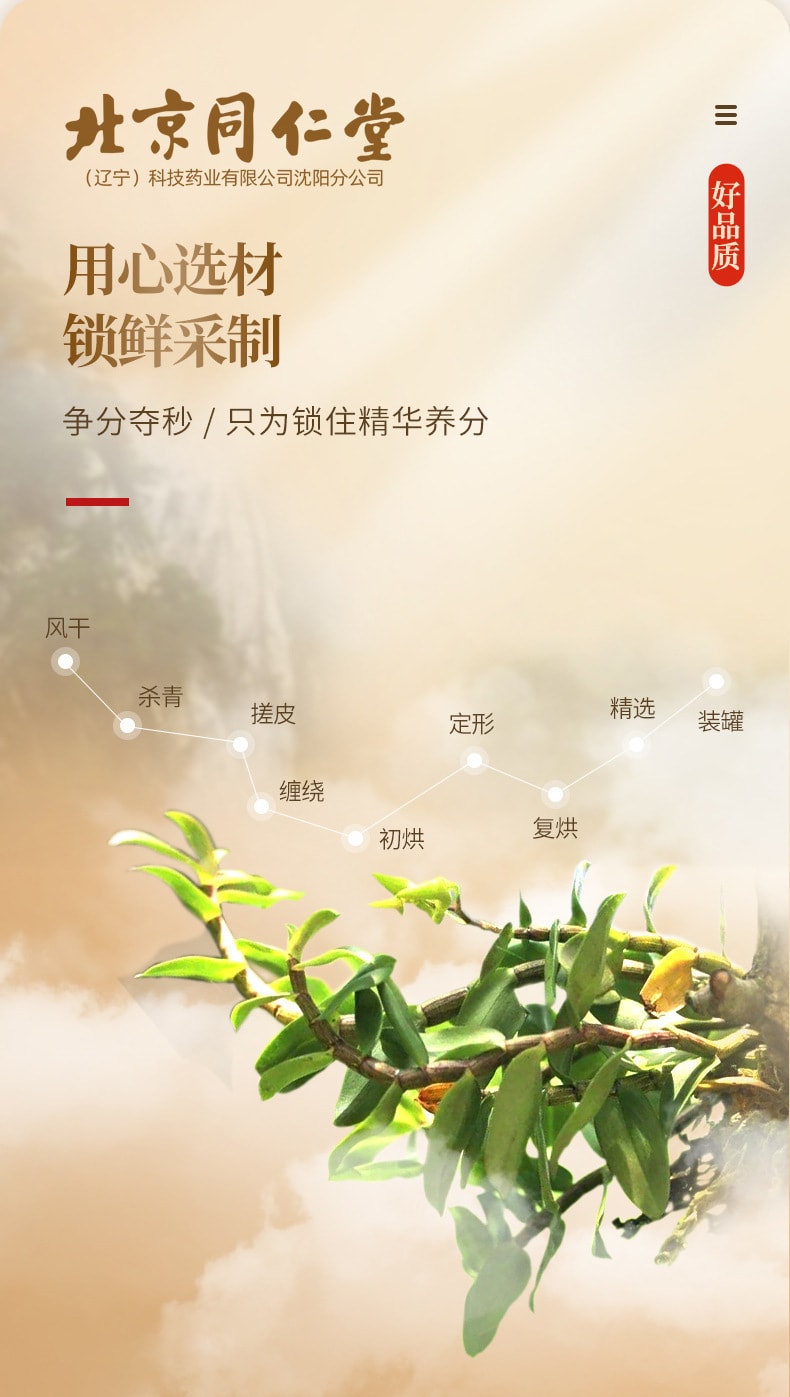 【中国直邮】北京同仁堂  铁皮石斛枫斗新鲜石斛干条石斛泡茶煲汤滋补品  60g/罐