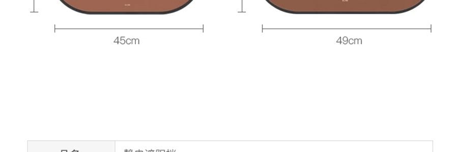 LINE FRIENDS 遮陽棚 汽車遮陽防曬 CHOCO舉手款