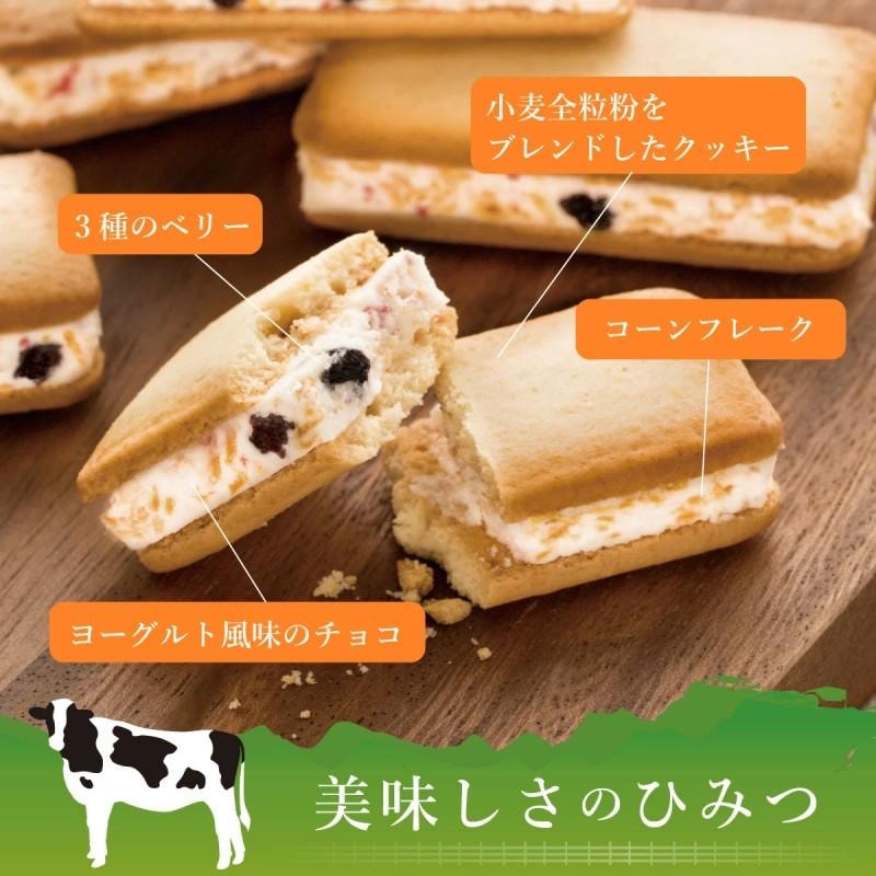 【日本直郵】 日本 神戶小紅書人氣推薦伴手禮 三種莓果x優格夾心奶油餅乾 6個裝