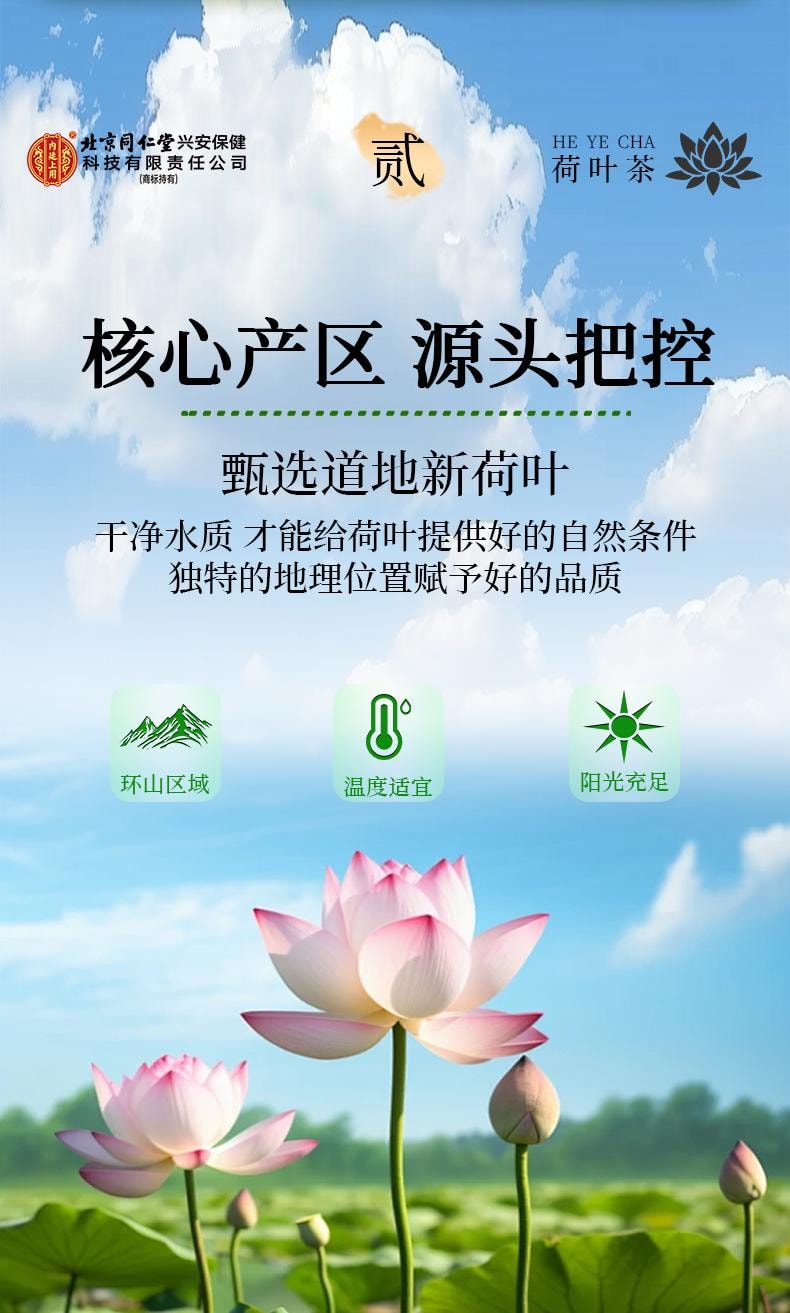 【夏荷嫩叶传统制茶工艺制作】北京同仁堂荷叶茶100g 刮油减脂减肥养生茶 【同仁堂制药标准】荷叶可搭配玫瑰花冬瓜陈皮降脂祛湿养生茶