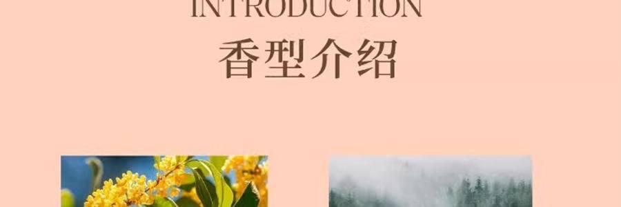 宋朝 悟吉系列 多功能车载香氛香薰 空气净化 皆是黑马