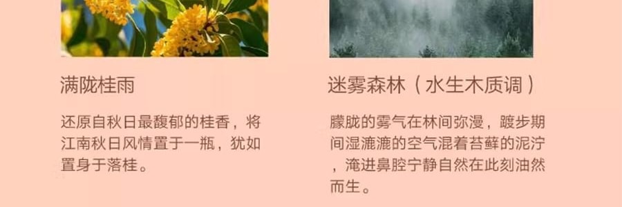 宋朝 悟吉系列 多功能车载香氛香薰 空气净化 皆是黑马