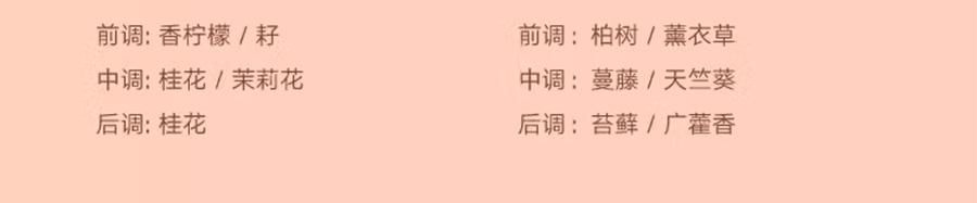 宋朝 悟吉系列 多功能车载香氛香薰 空气净化 皆是黑马