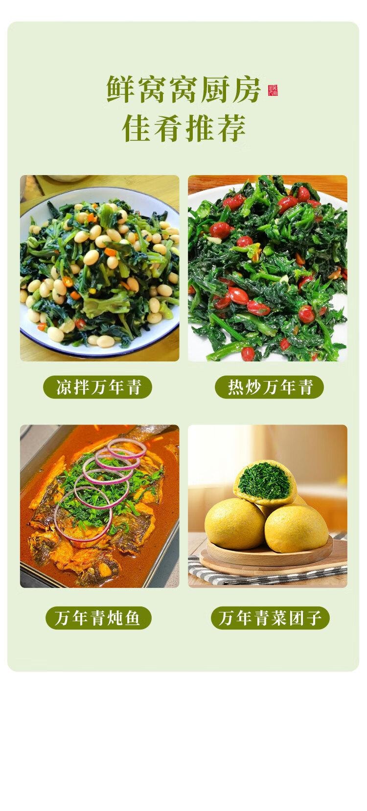 【中国直邮】 鲜窝窝 万年青菜干 凉拌嫩菜心 干货 火锅食材 脱水蔬菜干菜 300g