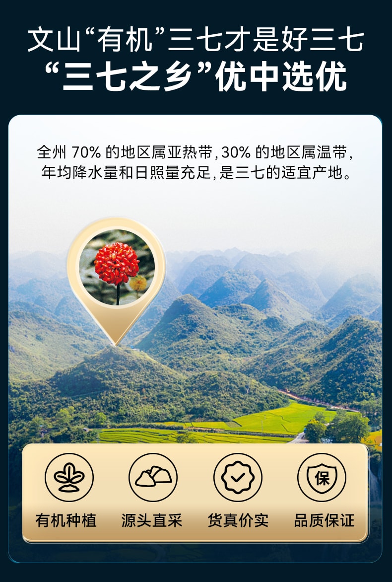 【中國直郵】萊特維健 三七血通60粒納豆激酶西洋參膠囊養護血管健康