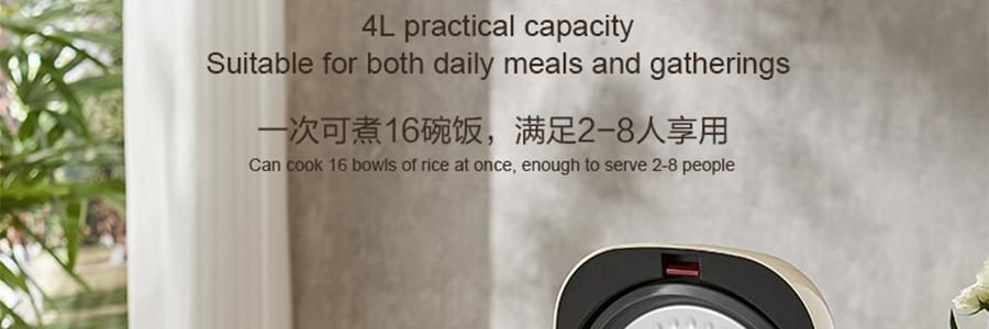 苏泊尔SUPOR IH不锈钢零涂层电饭煲 电饭锅炊饭器 SF40IH99QUS