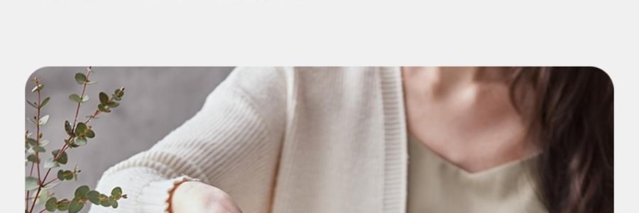 BEAR小熊 破壁机豆浆机搅拌机 自动清洗 中途加料 海盐灰白 