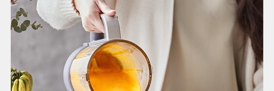 BEAR小熊 破壁机豆浆机搅拌机 自动清洗 中途加料 海盐灰白 