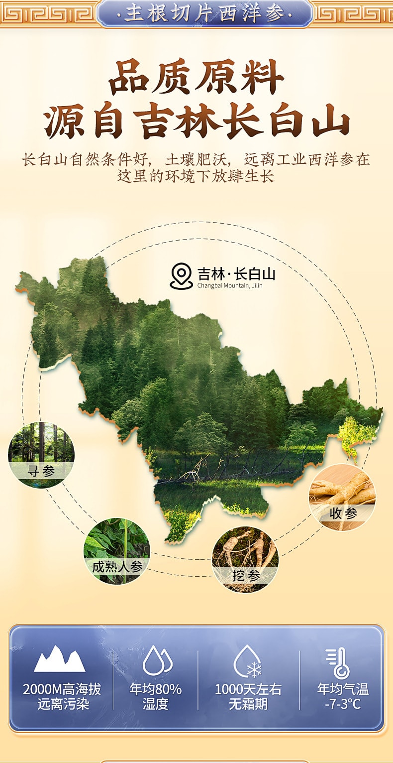 【中国直邮】北京同仁堂   西洋参切片加拿大西洋参切片长白山人参片补气养阴、清热生津    55g/罐