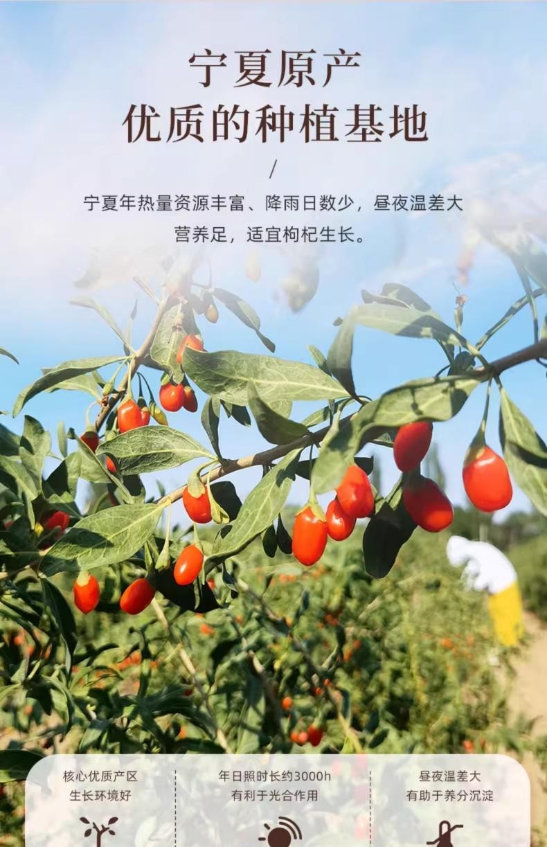 【中華老字號道地藥材】雷允上 枸杞 200g 寧夏枸杞正宗頭茬特優級紅枸杞大果粒非野生枸杞頭茬養生泡水【上浮率高】正宗藥材枸杞子