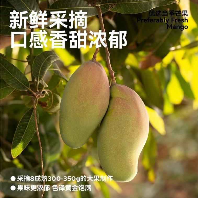 【中国直邮】 无趣的店 烘烤芒果条 芒果干果脯追剧孕妇解馋健康休闲零食小吃  60g