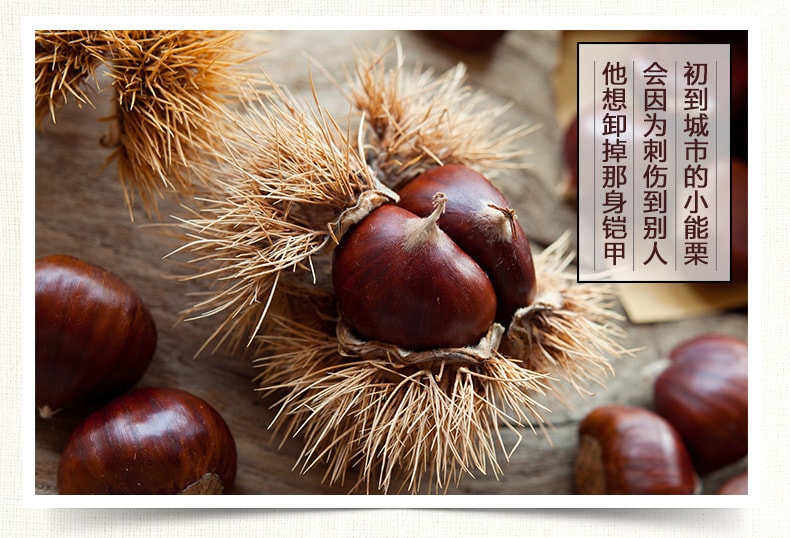 中國 三隻松鼠 開口甘栗食品堅果熟製帶殼板栗能栗子120g/袋