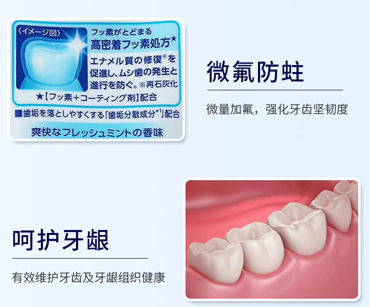日本 LION 狮王 CLINICA 酵素洁净牙膏美白清新薄荷味 130g