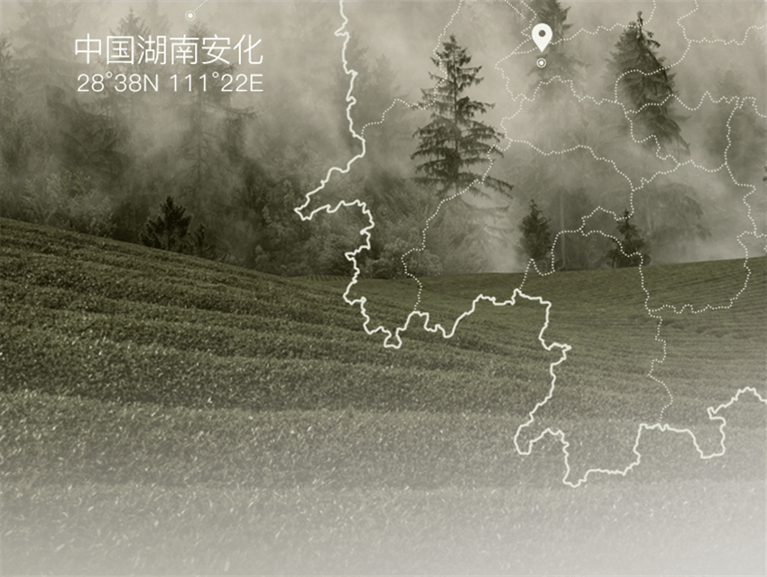 【中國直郵】 柳絲木 黑茶柔潤洗面乳 溫和潔淨氨基酸綿密泡沫敏肌適用 滋潤保濕 養膚加乘 100g/支