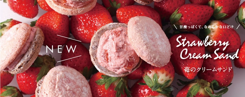 【日本直邮】日本ANTENOR 期限限定 草莓鲜奶夹心马卡龙 4枚装