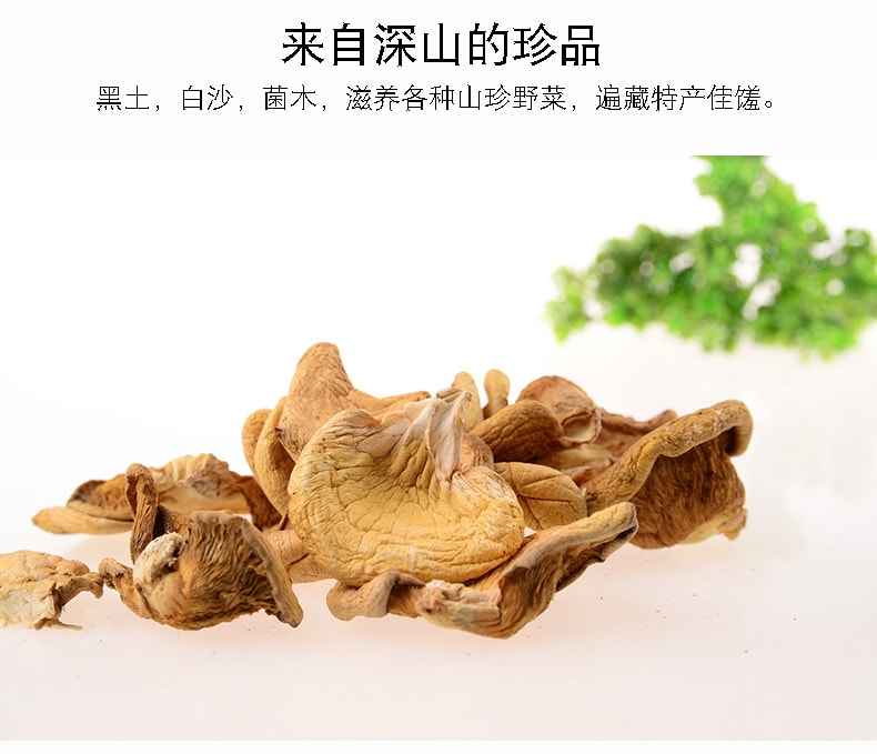 【中国直邮】插树岭野生元蘑 冻蘑 冬蘑菇 100g