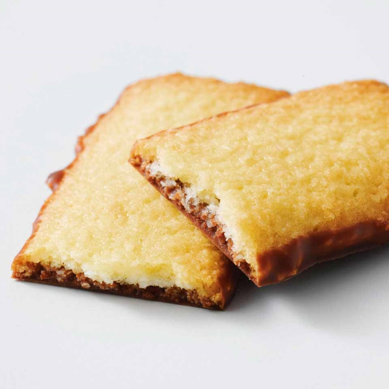 【日本直邮】 超级网红系列 北海道ROYCE'若翼族 巴顿巧克力曲奇饼干 椰奶味 25枚装
