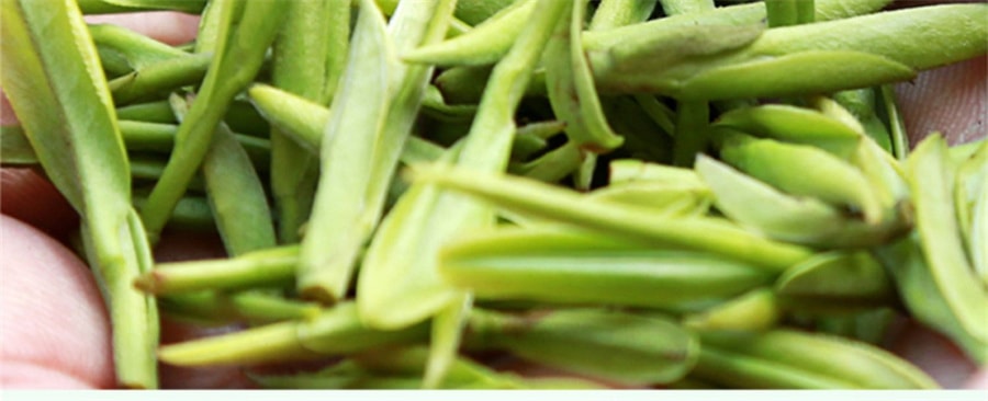 【中国直邮】一杯香   2023新茶茉莉花茶横县花草茶绿茶茶叶  250g/罐