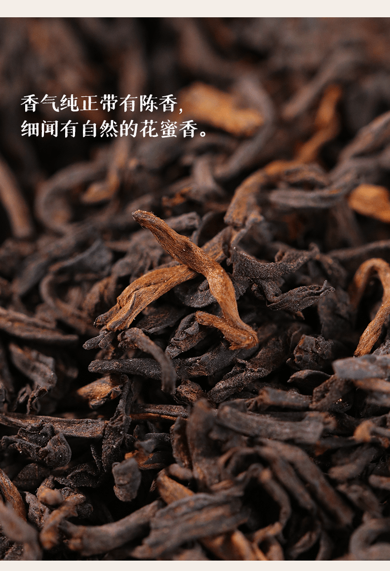  小師姐評茶 【美國現貨秒發】2008金獎桂味六堡茶特級頭採 收藏級乾倉老茶 祛濕排毒養胃降脂 高端品鑑 頂級綿糯紅豆湯感 100g