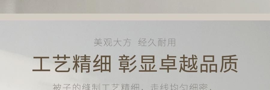 YUNYU芸裕家居 「芸緞絲語」臻選全棉桑蠶絲被子 夏涼被 高品質A類100%桑蠶絲 220cm×240cm