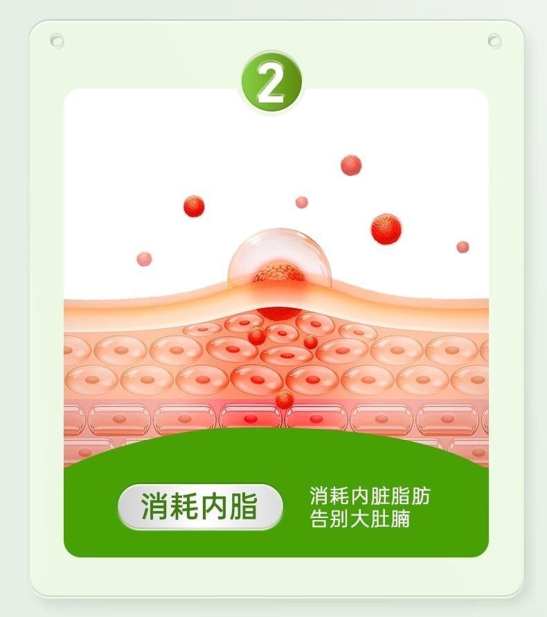 【中國直郵】 嘉臣健 扶芳茶 減肥茶刮油茶 去濕氣排油全身瘦肚子 減脂 瘦身 燃脂 排油 10袋/盒