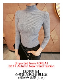 [韩国正品] Ribbed Knit Turtleneck Top #Black One Size(S-M) [免费配送]