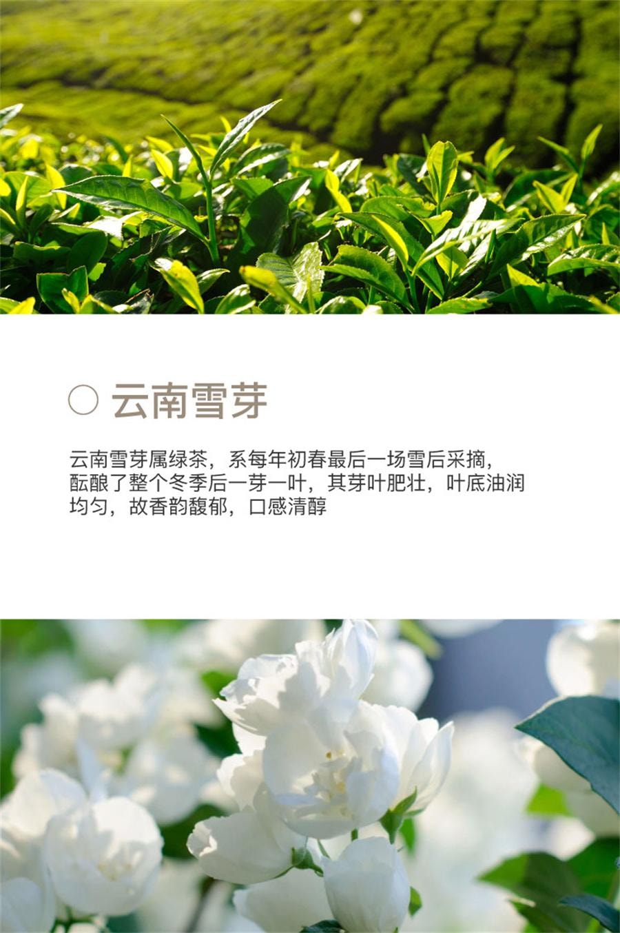 【中國直郵】 花田萃 茉莉雪芽奶茶粉沖飲杯袋裝輕乳茶牛乳茶熱飲沖泡粉 茉莉雪芽+木蘭紅茶20g*7袋