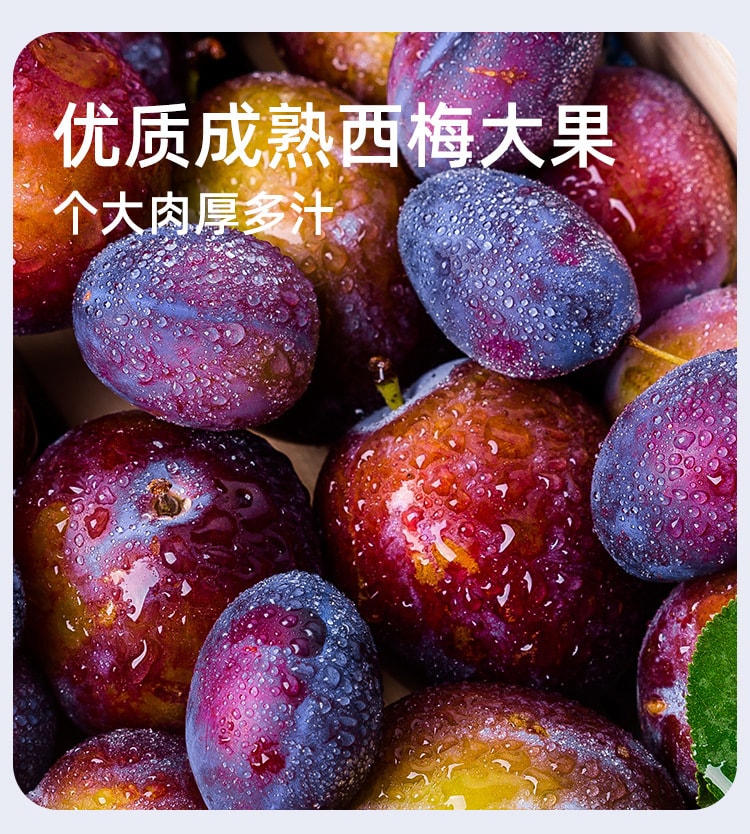 【中國直郵】福東海 西梅益生元飲 纖維果飲 濃縮果蔬汁原漿酸甜味300ml/盒