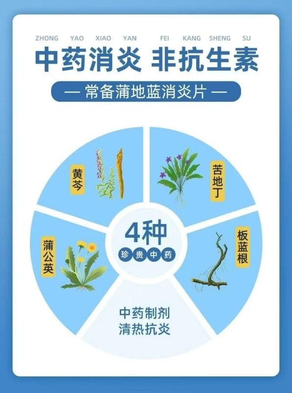 Anti Inflammatory Tablets For Clearing Heat Detoxifying Anti-inflammatory Reducing Swelling And Pharyngitis 52 Table