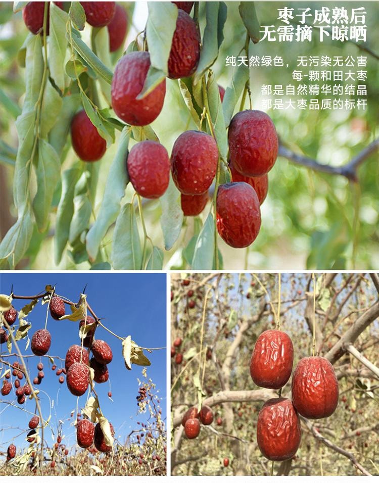 Organic Dried Jujube Filled Pie 168g