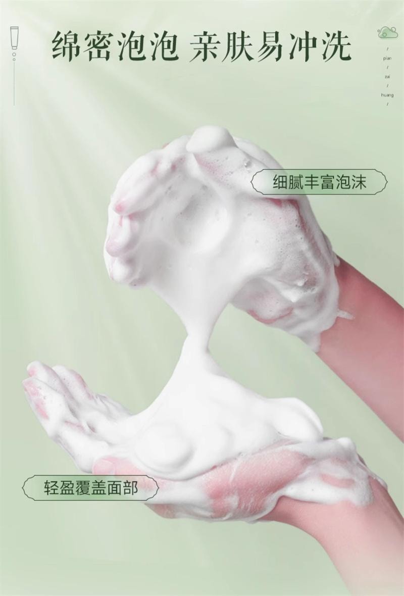 【中國直郵】 片仔癀 清盈淨爽潔面乳 溫和舒適清潔豐富綿密泡沫洗後不緊繃100g/支