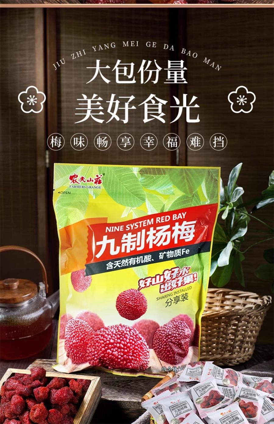 【中国直邮】 农夫山庄 九制杨梅 干果脯陈皮杨梅新鲜酸零食蜜饯梅子162g/袋