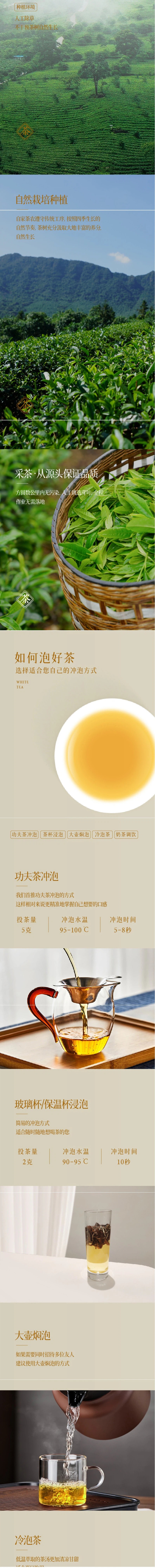 【中国直邮】老白茶茶叶 日晒白茶 100gx5袋