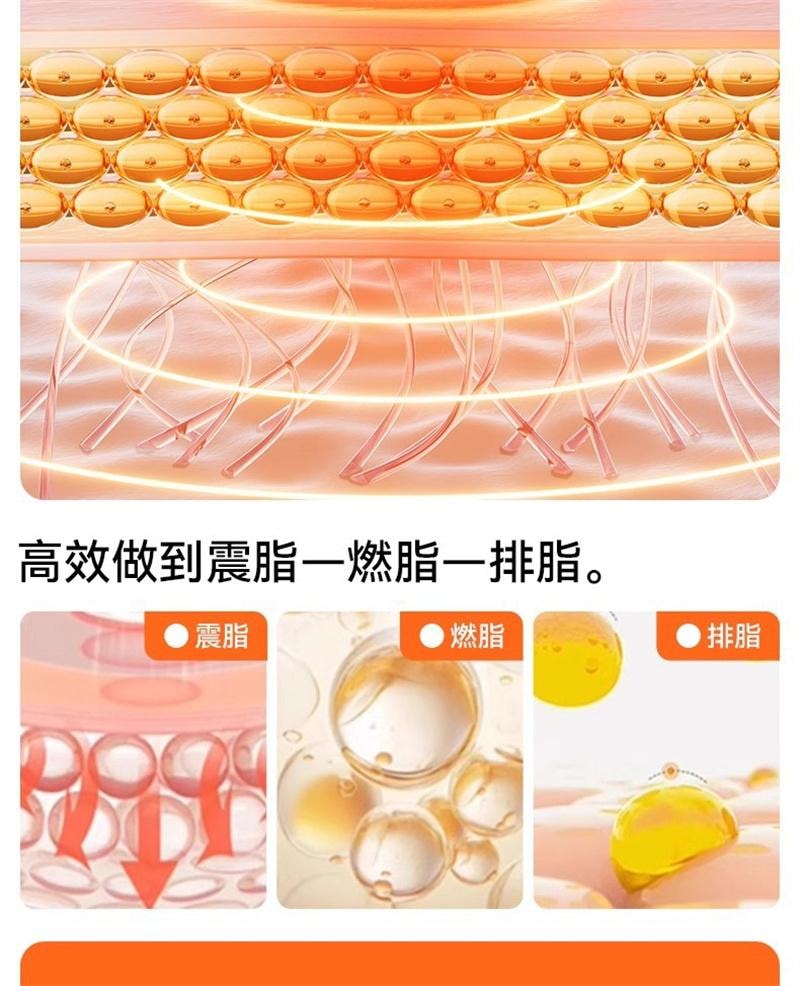 【中国直邮】 HYUNDAI 甩脂机抖抖机全身瘦肚子神器推脂器腰部赘肉燃脂震动 顶配款 1个装