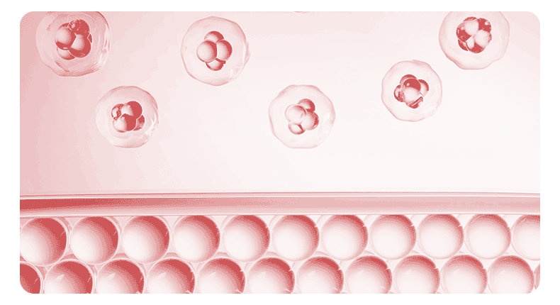 Medical Sodium Hyaluronate Dressing-Black 5 Sheets