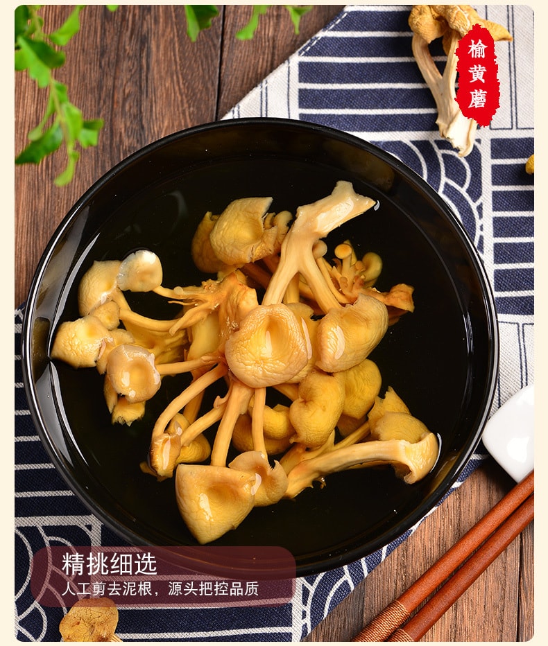 【中国直邮】插树岭东北榆黄蘑 250g 炒菜包饺子
