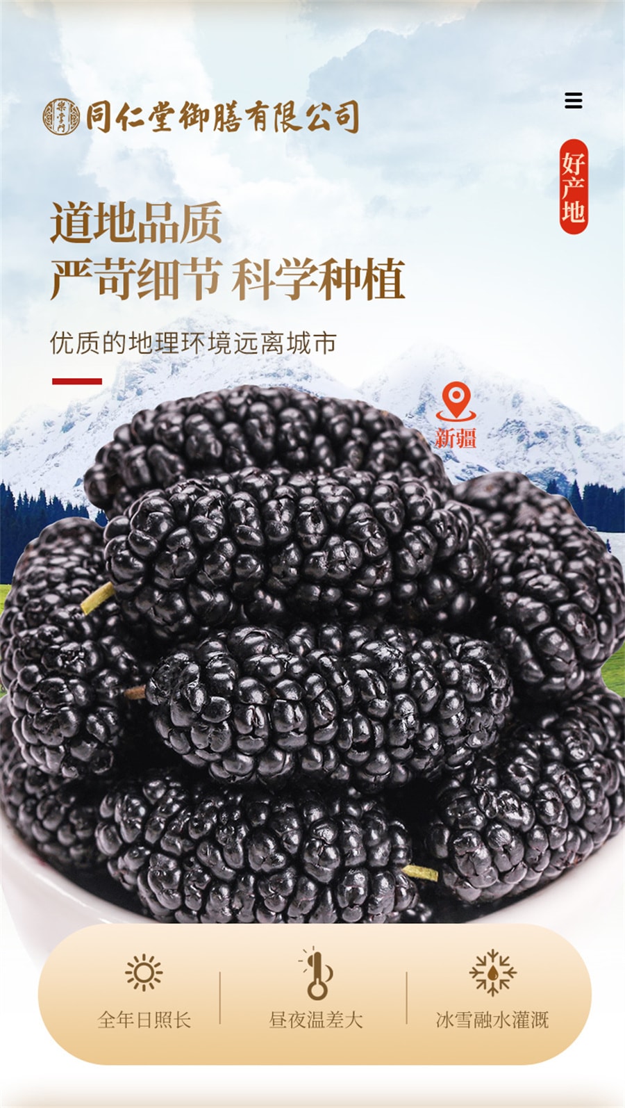 【中國直郵】同仁堂 禦膳黑桑椹乾果泡水桑葚乾中草藥材用黑桑葚子桑聖乾桑椮幹 桑葚250g