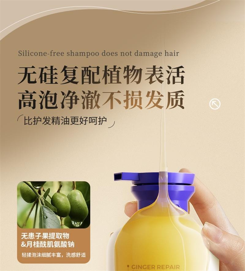 【中國直郵】 EHD 生薑洗髮精 蓬鬆柔順修護防斷護髮清爽男女 500ml/瓶