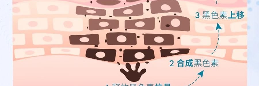 SKINCEUTICALS修丽可 发光瓶精华液 30ml 烟酰胺抑黑美白 淡斑淡痘印提亮