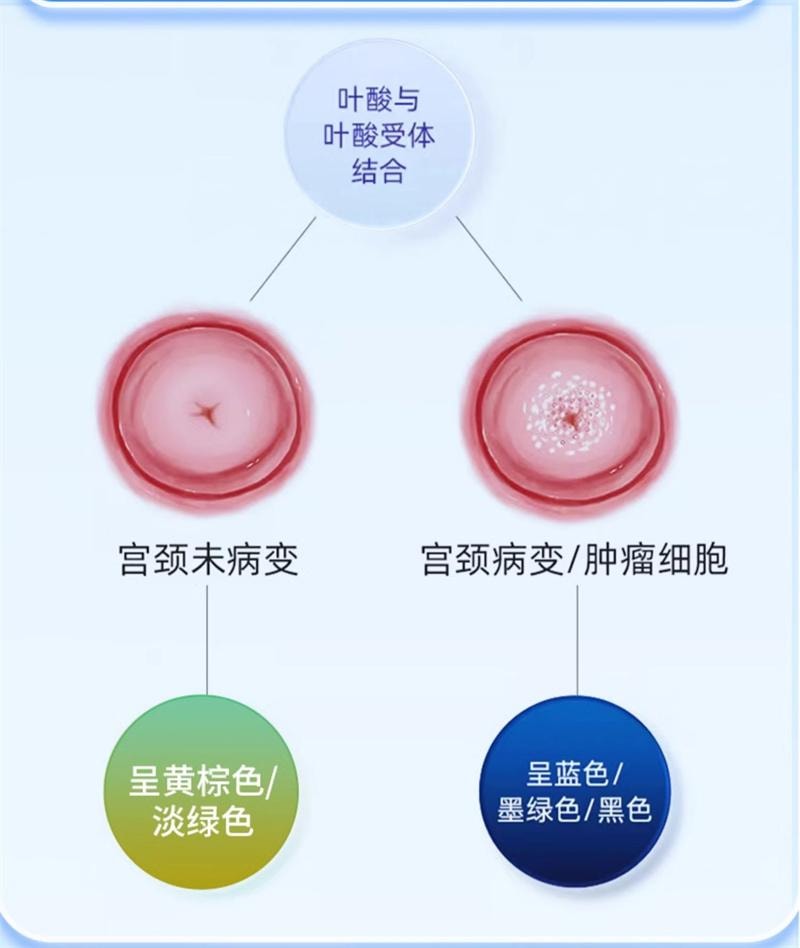 【中國直郵】 可孚 hpv病毒檢測測試紙自檢試劑卡男性自測尖銳濕疣子宮頸癌女性篩檢